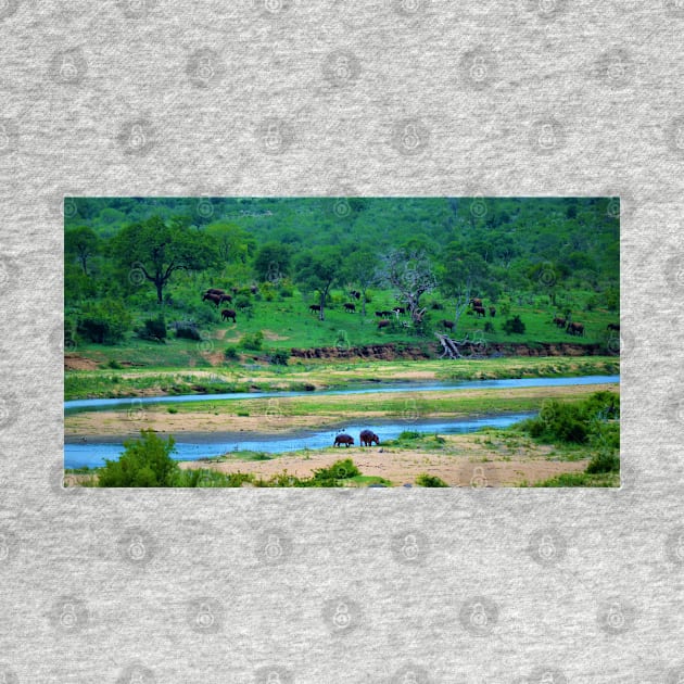 A Couple of Hippos and a Herd of Elephants on the Crocodile River by Fitra Design